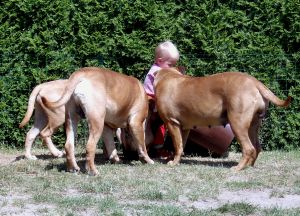 Arno und Mary und Gina